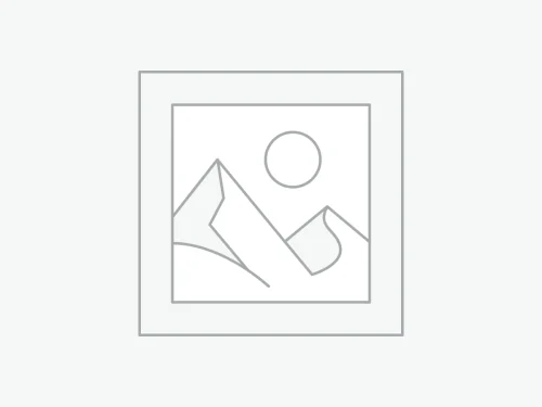 woocommerce-placeholder پارک پلیت آسانسور گیرلس T9